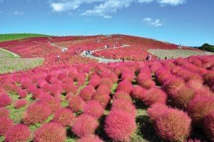 ????????????????????????????????????