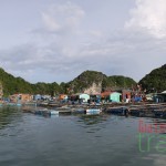 Cat Ba Island - Vietnam, Cambodia and Myanmar tour 32 days
