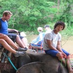 Elephant riding in Chiang Mai, Thailand- Thailand and Myanmar 17 days