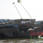 Floating market, Mekong Delta, Vietnam-Myanmar, Thailand, Cambodia, Vietnam and Laos tour 20 days