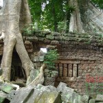 Ta Prohm - Cambodia and Vietnam tour 9 days