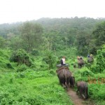 Elephant riding in Chiang Mai- Laos and Thailand tour 17 days