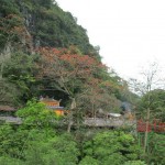 Perfume pagoda- Perfume Pagoda tour 1 day