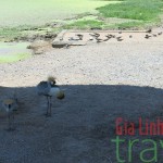 Khaeng Krachan National Park Bird Watching tour 3 days
