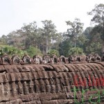 Angkor Thom-Cambodia bird watching 14 day tour