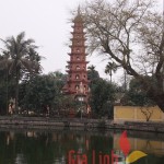 Hanoi-Vietnam Bird Watching Tour 12 Days