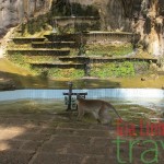 Krabi and Khao Noi Chu Chi National Park Bird Watching tour 5 days