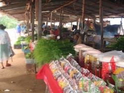 Local  market