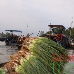 Mekong Delta-Vietnam honeymoon 10 days tour