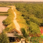 Nam Dinh-Vietnam Bird Watching Tour 7 Days
