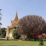 Royal Palace - Cambodia Nature 6 day tour