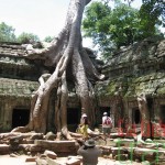 Ta Prohm-Cambodia honeymoon 10 day tour