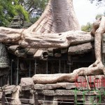 Ta Promh-6 Day tour in Siem Reap