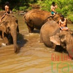 Elephant riding - Cambodia Trekking 4 day tour